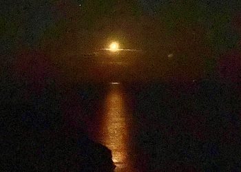 From all the family-