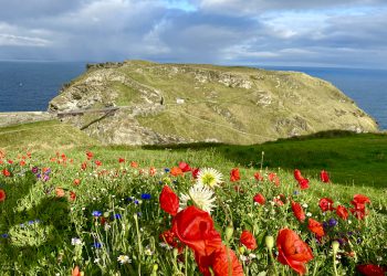 From all the family-