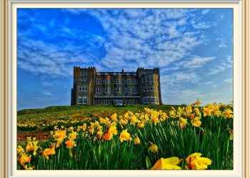 Come and enjoy spring at Camelot