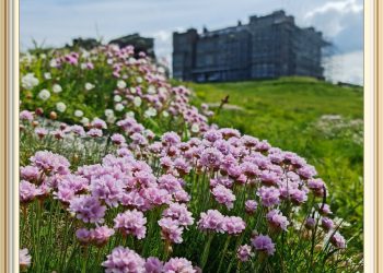 SPRING AT CAMELOT CASTLE