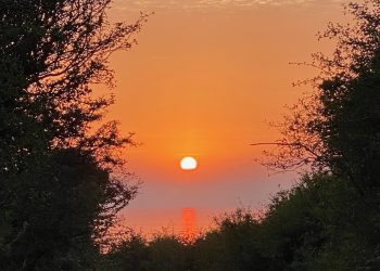 With very best wishes.